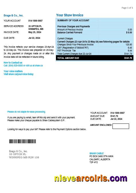 Canada Shaw business utility bill